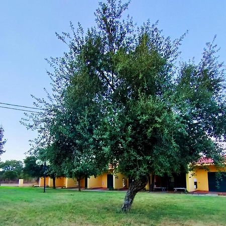 Nuraghe Ruiu Camping & Bungalow Norbello Eksteriør bilde