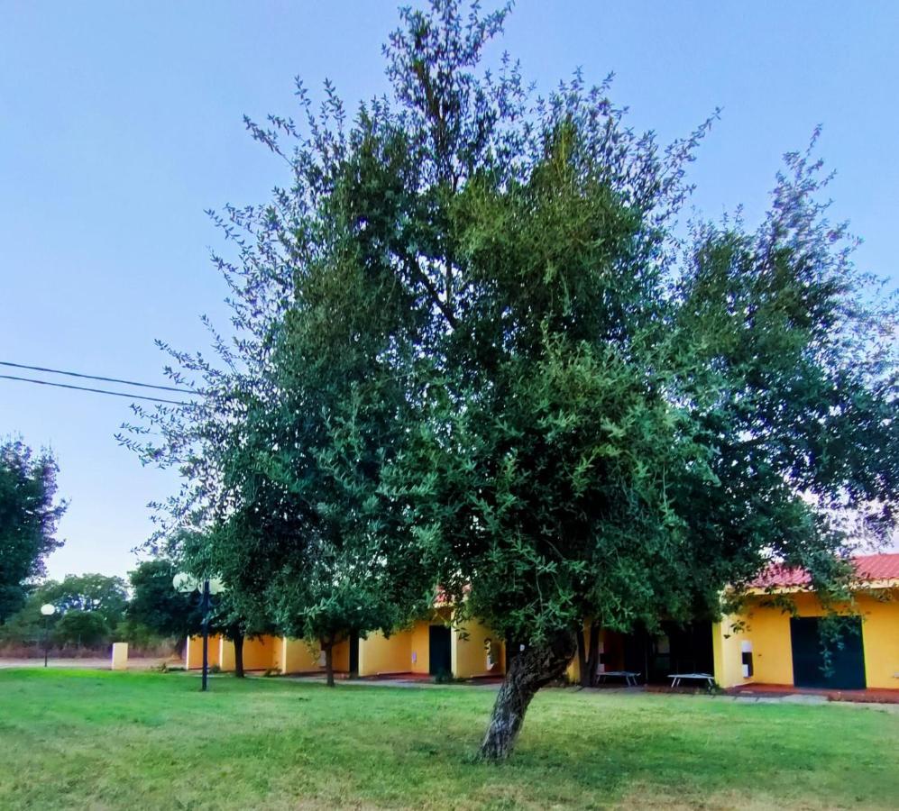 Nuraghe Ruiu Camping & Bungalow Norbello Eksteriør bilde