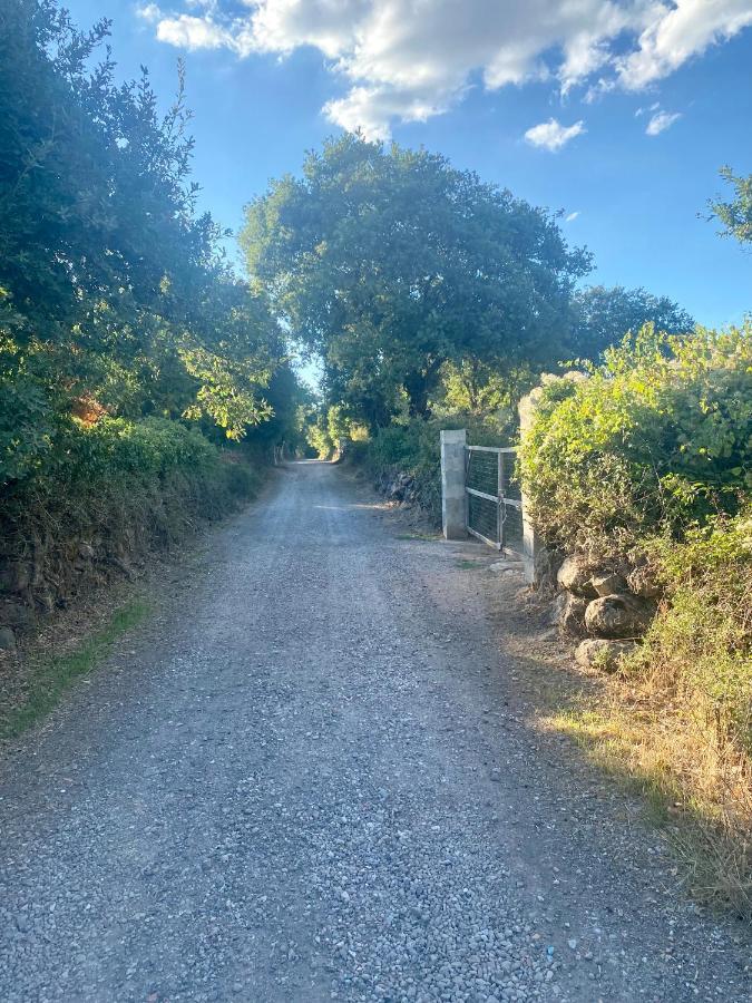 Nuraghe Ruiu Camping & Bungalow Norbello Eksteriør bilde