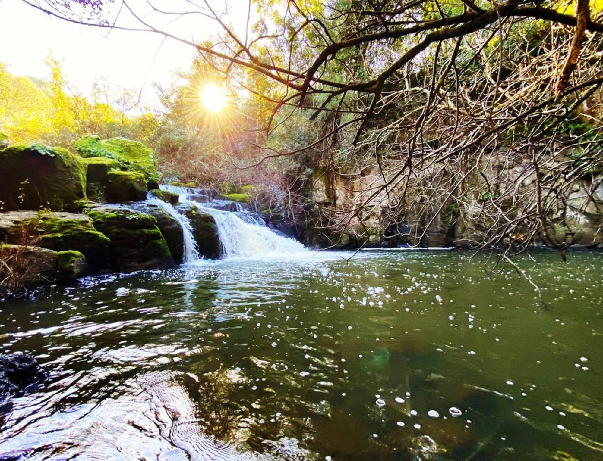 Nuraghe Ruiu Camping & Bungalow Norbello Eksteriør bilde